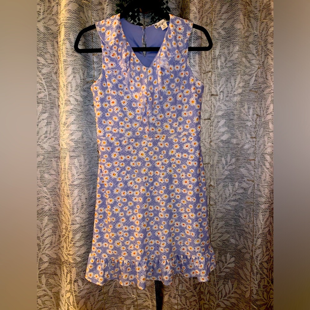 Girl’s baby blue w/daisies lined dress size 16